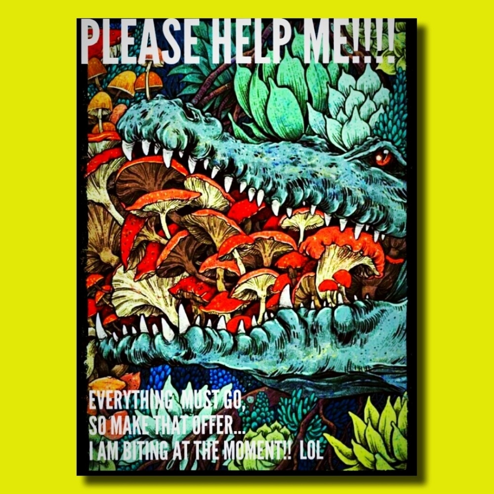 THROW AN OFFER!  NOW, NOT "LATER ALLIGATOR" 😜